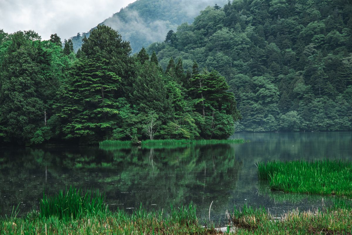 奥日光・湯の湖　2024年６月